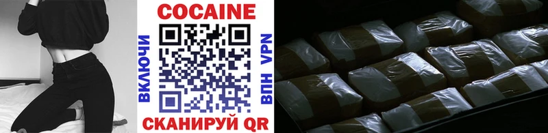 купить закладку  Заводоуковск  КОКАИН Fish Scale 