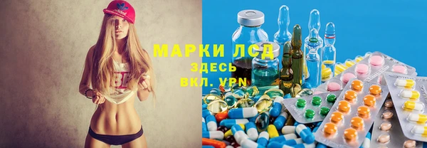 spice Няндома