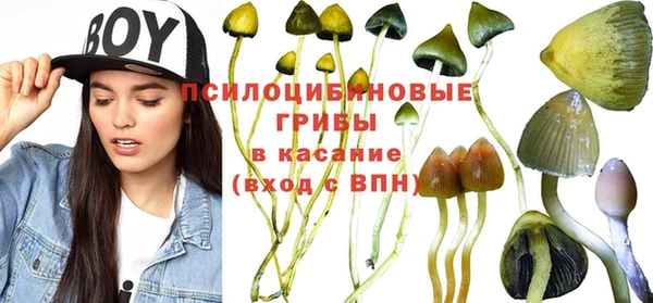 spice Няндома