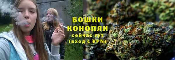 spice Няндома