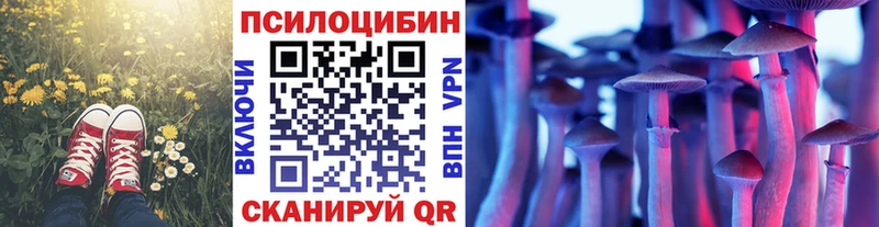 купить   Заводоуковск  Псилоцибиновые грибы MAGIC MUSHROOMS 
