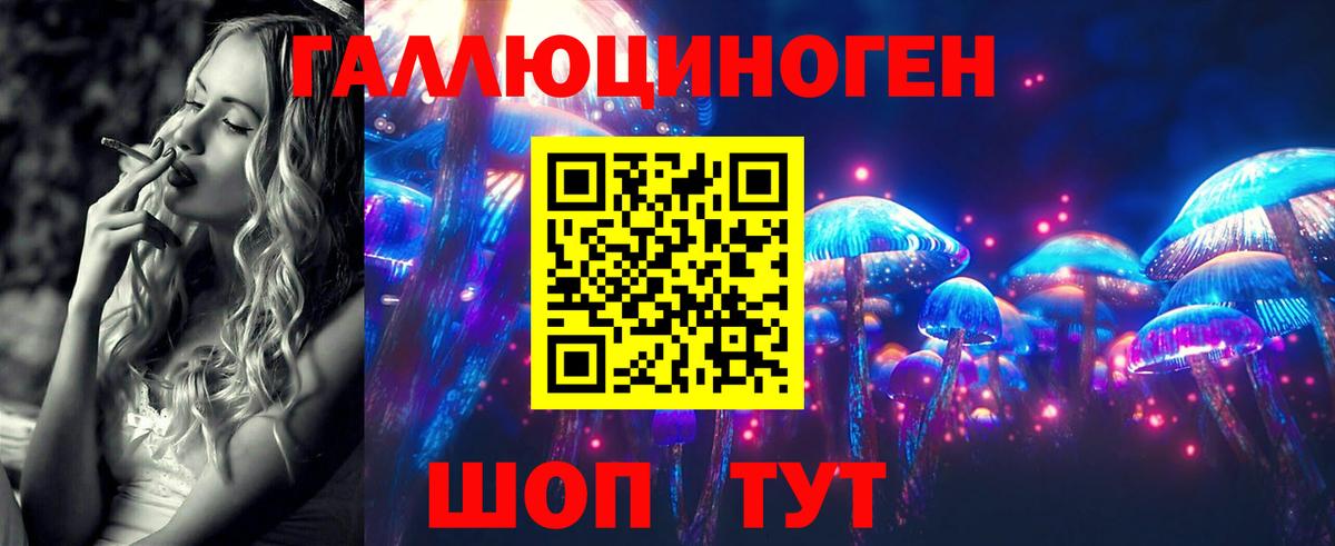 Галлюциногенные грибы Заводоуковск