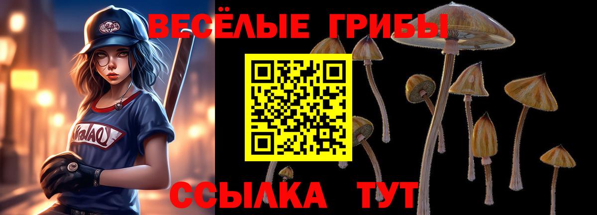 Галлюциногенные грибы мицелий  Вход с VPN  Заводоуковск 