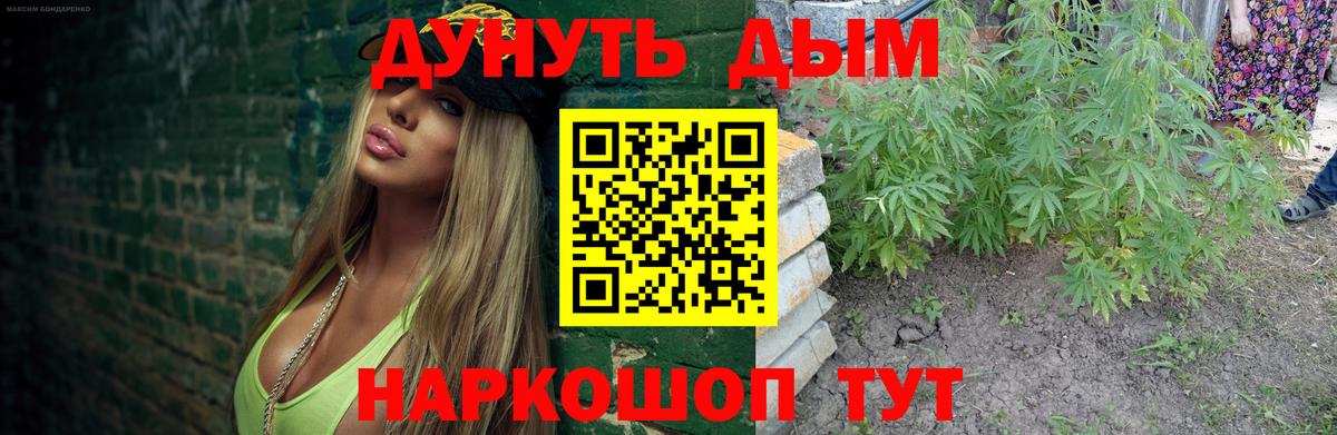 Заводоуковск  Бошки марихуана план  Вход с VPN  Бошки Шишки марихуана  Конопля сатива 